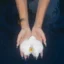 orchids (lullabies)