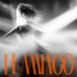 Flamingo – EP